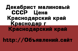 Декабрист малиновый СССР › Цена ­ 100 - Краснодарский край, Краснодар г.  »    . Краснодарский край